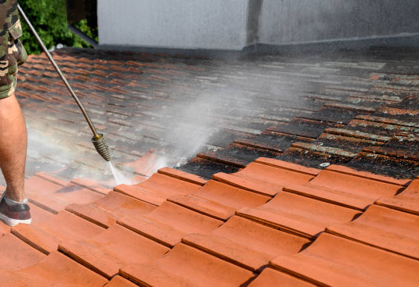 Best Power Washing Near Me  in Al Creek, CO